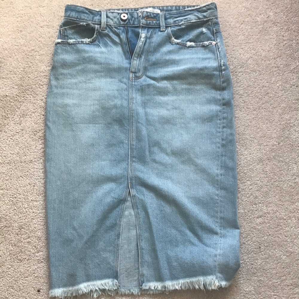 Zara Knee Length Skirt